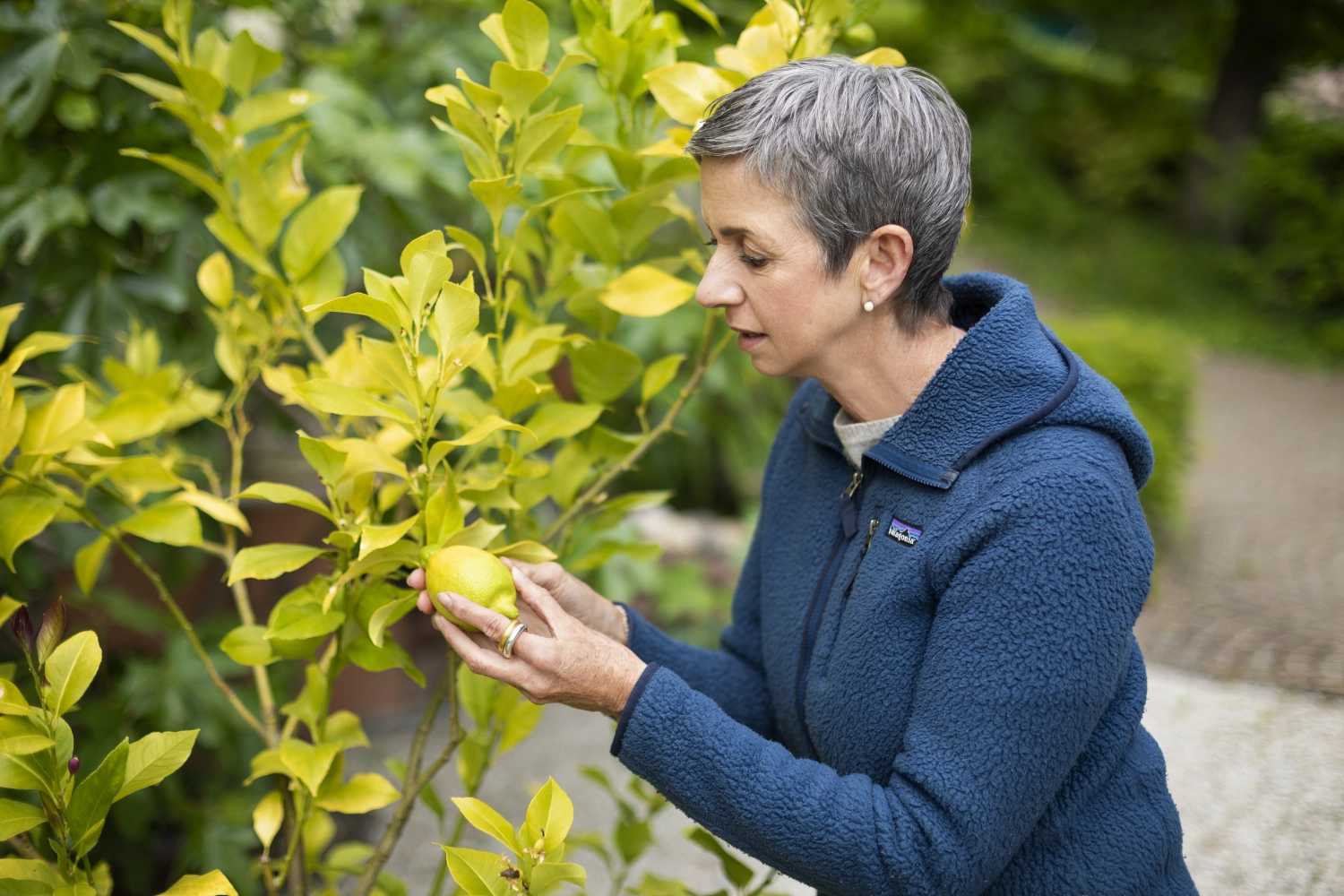 Andrea Suntheim-Pichler